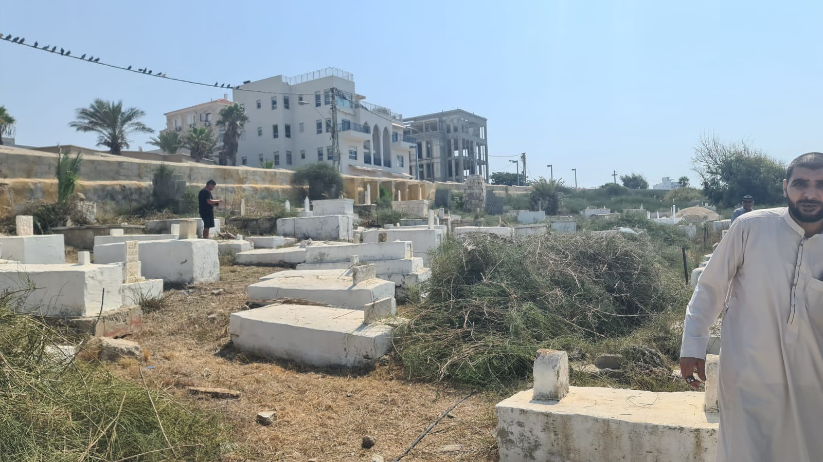 WhatsApp Image 2020-09-19 at 1.45.36 PM (1).jpeg.jpeg